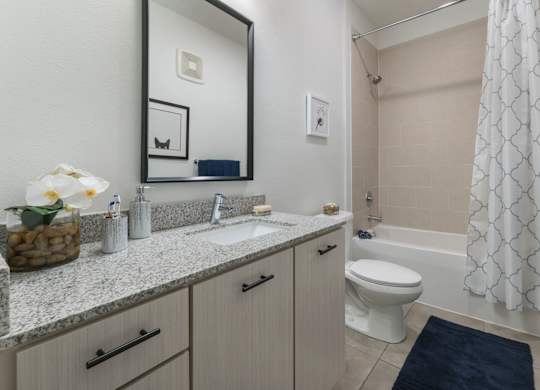 Apartments In Riverview, FL for Rent – Sole at Brandon – bathroom with updated materials such as granite countertops