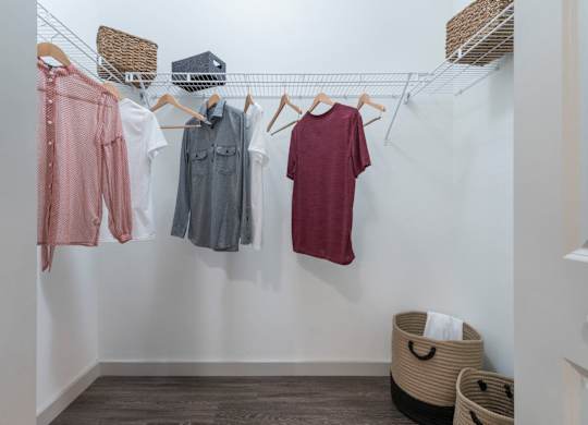 Pet-Friendly Apartments in Riverview – Sole at Brandon - Expansive Closet Space