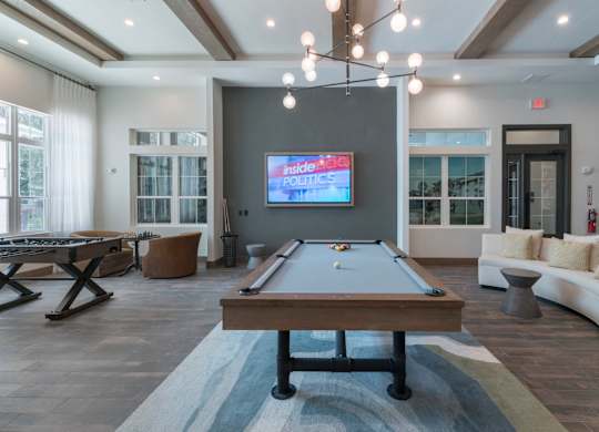 Pet-Friendly Apartments in Riverview – Sole at Brandon - Clubhouse with Billiards