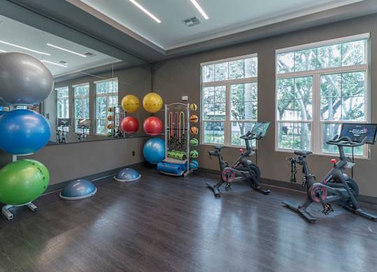 Apartments In Riverview, FL for Rent – Sole at Brandon – Fitness Center w/ Boxing Ring & Cardio Area