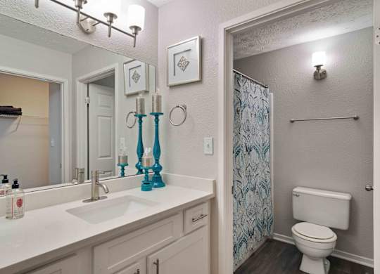 Glen Lake Apartments in Atlanta, GA 30328 photo of a bathroom with large vanity