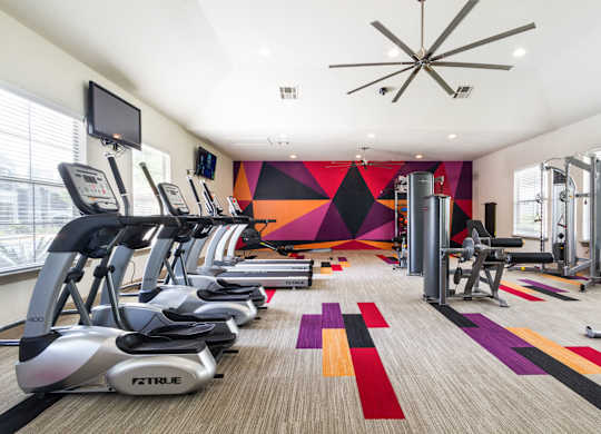fitness center- cardio machines, weighted machines, free weights