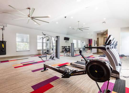 fitness center- cardio machines, weighted machines, free weights