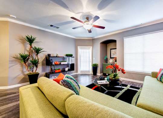 lots of natural light in apartment