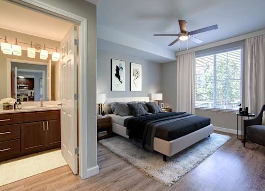 Apartments in Walnut Creek, CA - Ivy Hill - Spacious Bedroom with Hardwood Floor, Area Rug, Ceiling Fan, Bed, Nightstands with Lamps,  Large Windows, and Attached Bathroom.