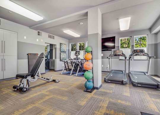Walnut Creek, CA, Apartments for Rent - Ivy Hill - Fitness Center with Treadmills, Elliptical Machines, Workout Bench, Medicine Balls, TV, and Windows.