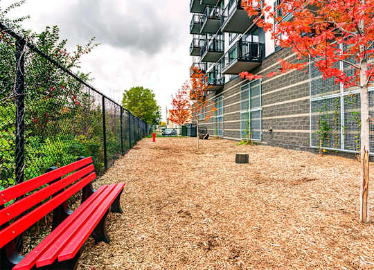 A red bench sits in a park-like area with a tree and a building in the background.