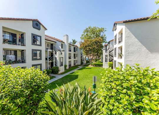 a view of a grassy area between some apartment buildings