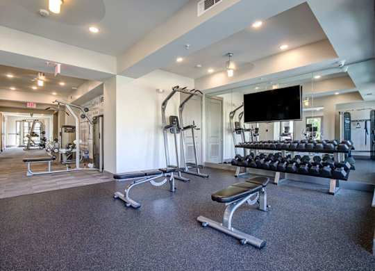 A gym with a variety of equipment including weights and a television.