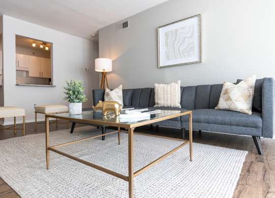 Pet-Friendly Apartments in Alpharetta, GA – Webb Bridge Crossing – living room with hardwood flooring and natural light