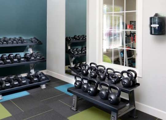 A gym with kettlebells on racks and a window in the background.