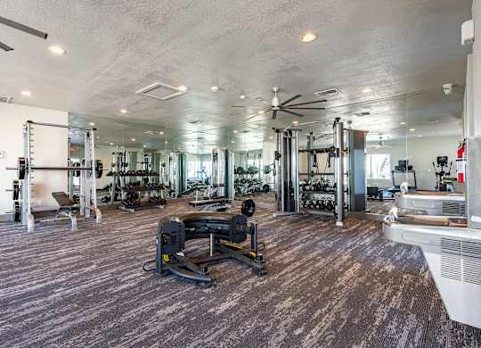 spacious gym with cardio machines and weights at the condos