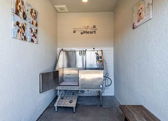 A room with a dog grooming table and pictures of dogs on the wall.