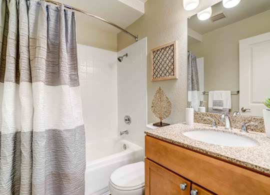 Upgraded Bathroom