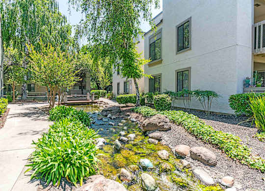 Two Bedroom Apartments in Walnut Creek, CA - Park Lake at Walnut Creek - Courtyard with Beautiful Landscaping