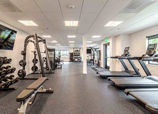 A spacious gym with treadmills, dumbbells, and weight machines.