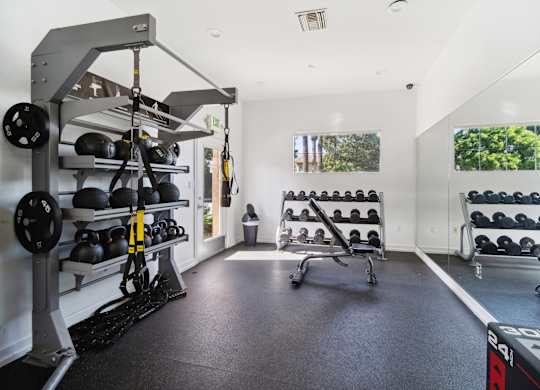 a gym with weights and mirrors on the wall