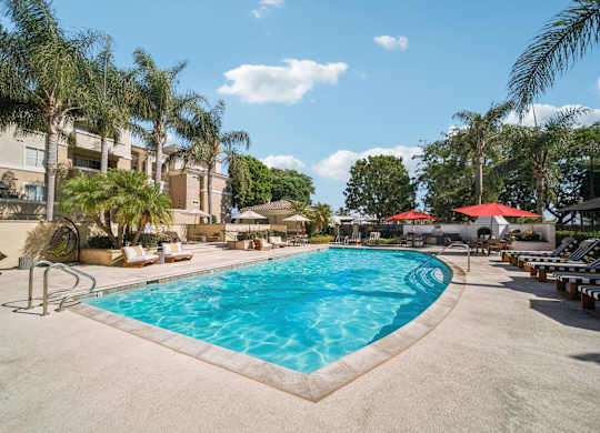 the swimming pool at the resort at longboat key club