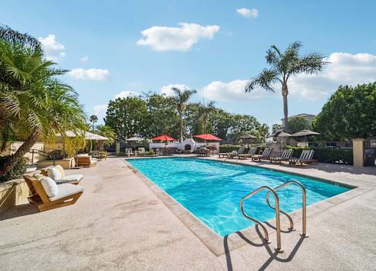the swimming pool at the resort at longboat key club