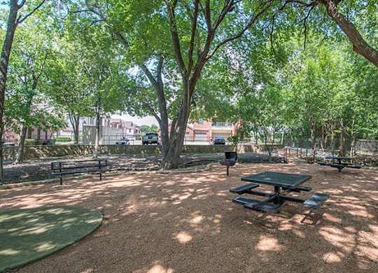 A park with picnic tables and benches under trees.