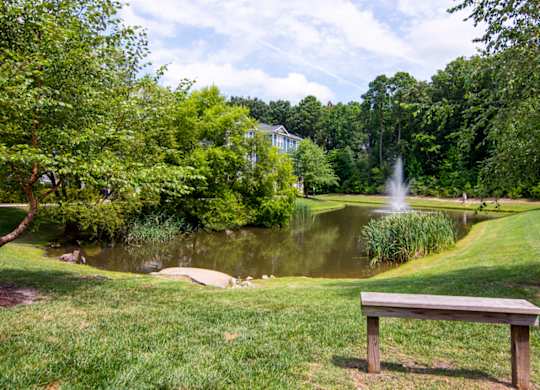 plenty of green spaces