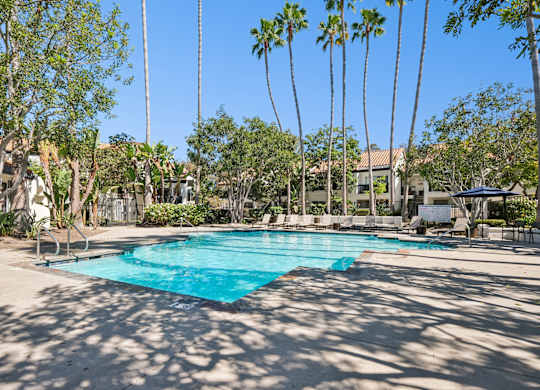 A pool surrounded by palm trees and a clear blue sky.