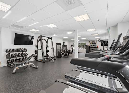 A gym with a variety of equipment including treadmills, weights, and exercise machines.