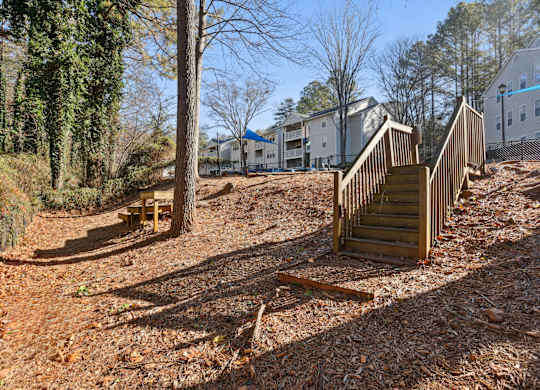 A wooded area with a tree and a wooden staircase.