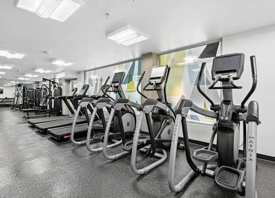 A row of elliptical machines in a gym.