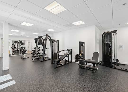 A spacious gym with a variety of equipment.