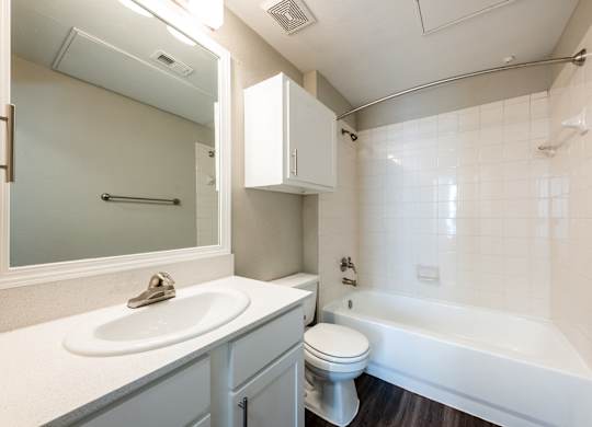 Regency at dell ranch bathroom