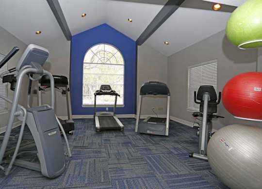 Stonegate Apartments in Palm Harbor, FL photo of Fitness center- cardio machines