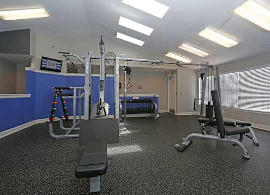 Stonegate Apartments in Palm Harbor, FL photo of Fitness center- free weights, weighted machines