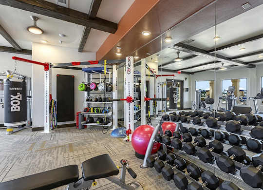 a gym with weights and dumbbells and other exercise equipment