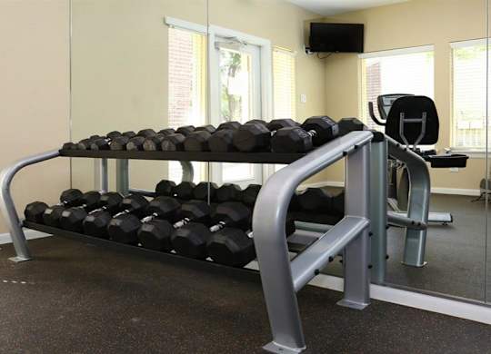 Free weights in fitness center