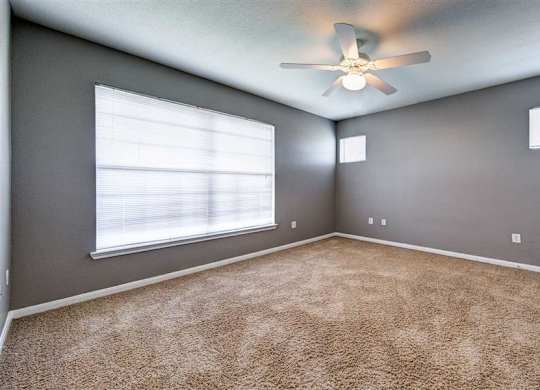 lots of natural light in apartment