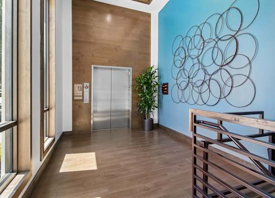 A hallway with a blue wall and a wooden floor.