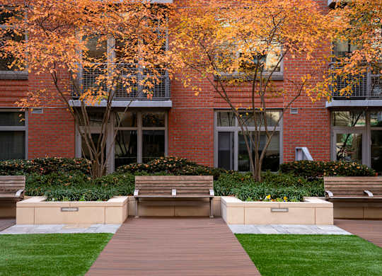 Photo of outdoor courtyard