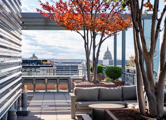 Photo of rooftop courtyard