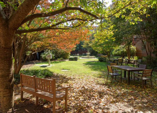 Courtyard with seating area at Cathedral Mansions, Washington, 20008