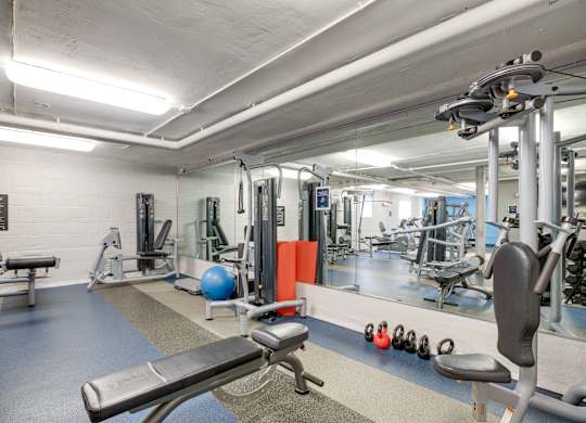 Fitness center with free weights at Mason Hall in Alexandria, VA 22314