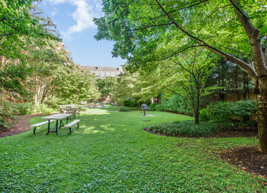 Courtyard with grilling area and seating at Cathedral Mansions, Washington