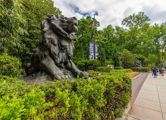 Lion Statue at National Zoo