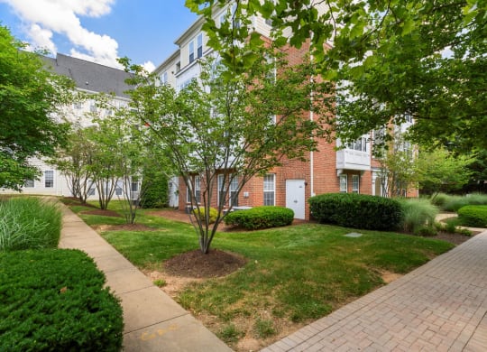 Walking Path at The Residences at King Farm, Rockville, MD