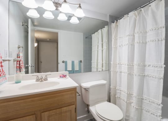 Apartment bathroom at 1633 Q, Washington, 20009