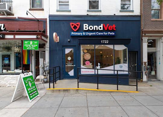 Bond Vet Clinic & Animal Hospital near The Palisades at Logan Circle Apartments, 1464 Rhode Island Avenue, NW, Washington, DC 20005