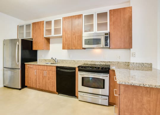 Renovated kitchen with granite countertops  at Kalorama Park, Washington, DC 20009and stainless steel appliances