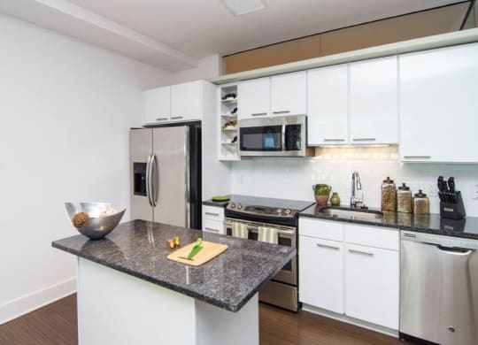 Kitchen with granite countertops and stainless steel appliances at Lex and Leo at Waterfront Station, Washington, DC 20024