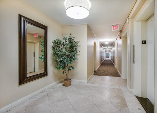 Building hallways at Mason Hall in Alexandria, VA 22314
