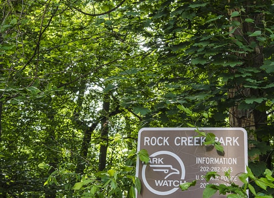 Nearby Rock Creek Park at Park Crest Apartments, Washington, 20007